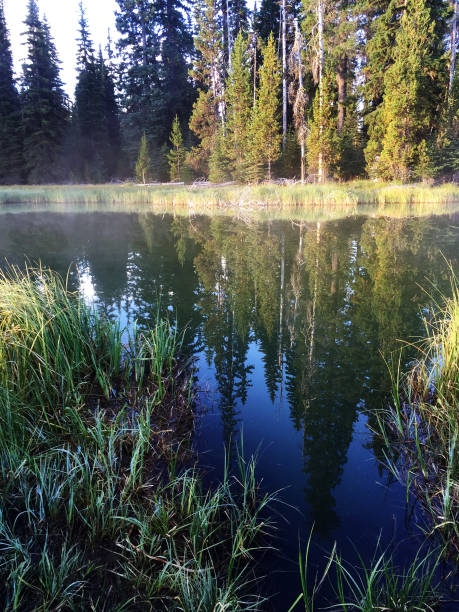 Reflections in the headwaters of the Deschutes River at Little Lava Lake in Central Oregon