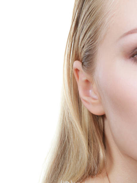 istock Woman ear closeup, half face picture 800008360