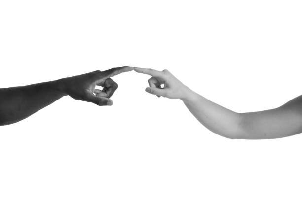 istock One caucasian and one african hand on white background 800008604