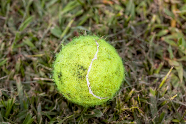 balle de tennis jaune sale dans l’herbe verte - mudball photos et images de collection