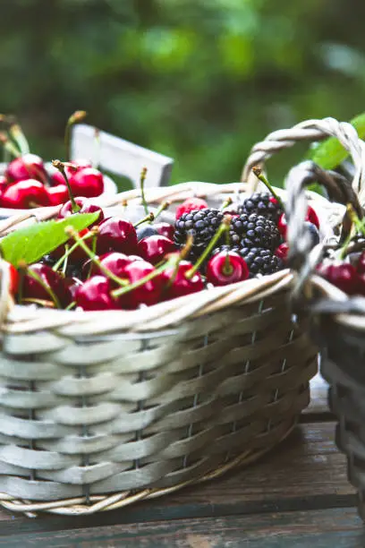 Fresh forest fruit on wood. Fresh organic fruit. Red cherries, blueberries and blackberries