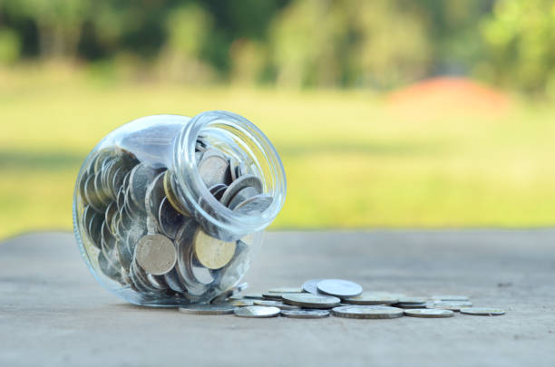 istock Concept - Plant in Money  container over nature background 800107376