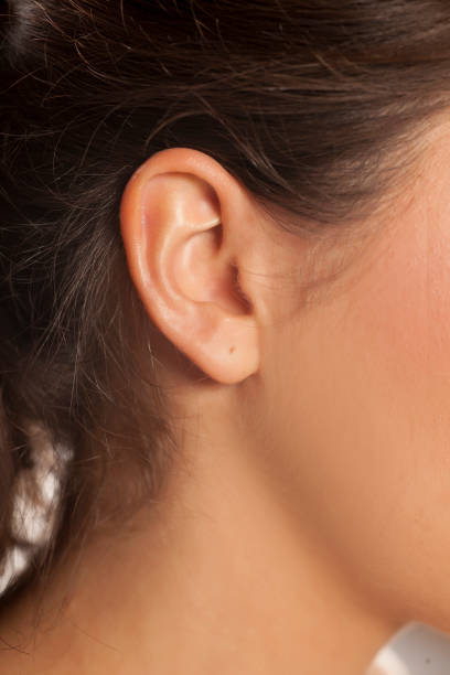 istock Close up of a female ear 800180668