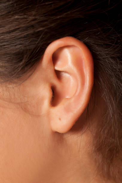 istock Close up of a female ear 800180670