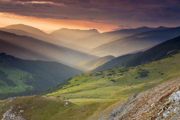 istock Summer sunrise landscape in the Carpathians Mountains 800286478
