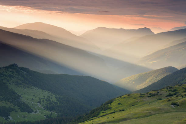 istock Summer sunrise landscape in the Carpathians Mountains 800286974