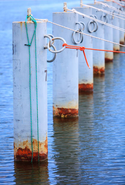 istock row of metal bollards on the dock 800287060