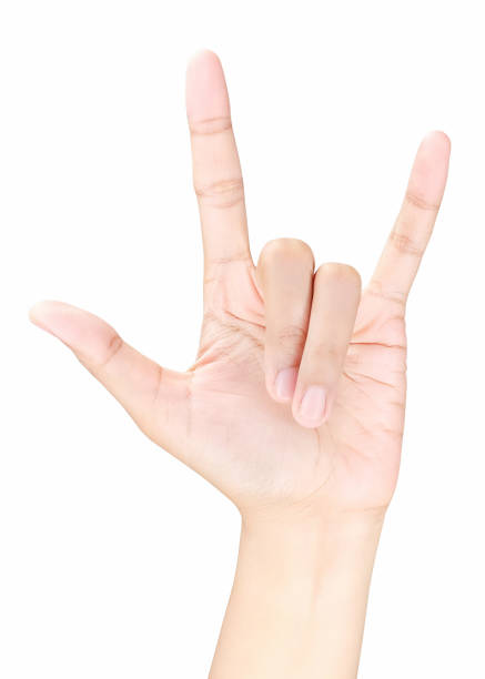 istock Love hand sign, isolated on a white background 800293406