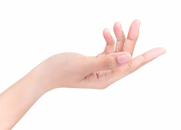 istock Beautiful woman's hand, isolated on a white background 800293436