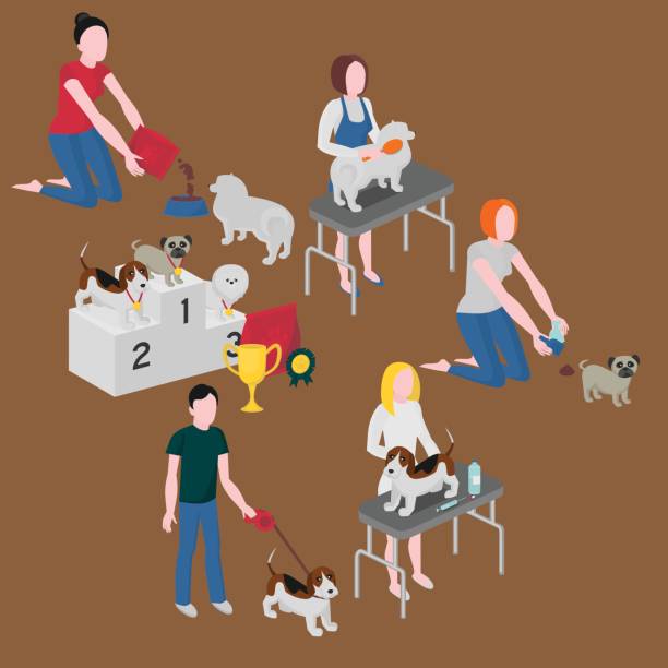 Isometric set of dog care. Pet owner feeding, walking and cleaning. Veterinary and grooming. Doggy competition winners. Pug, spitz and beagle. Isometric set of dog care. Pet owner feeding, walking and cleaning. Veterinary and grooming. Doggy competition winners. Pug, spitz and beagle man walking a pug dog stock illustrations
