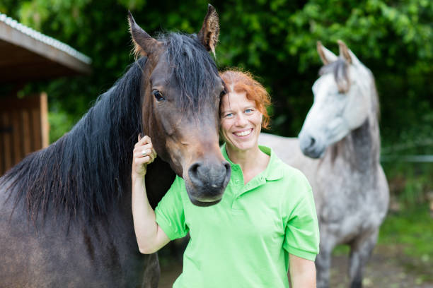 istock Veterinarian smiling with horses 800303032