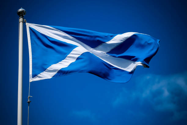 istock Scotland flag flying in sunshine against blue sky 800309396