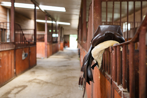 The leather saddle horse in a stable