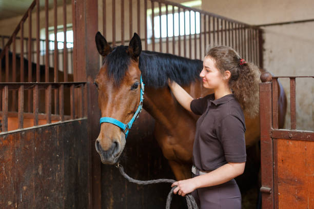 istock Girl with a horse in a stable 800309908