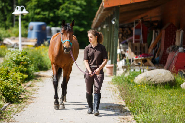 istock Young girl with a horse 800309910