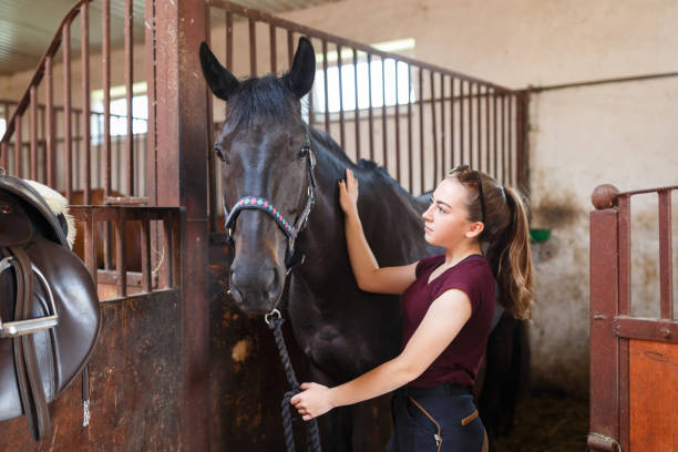 istock Girl with a horse in a stable 800309918