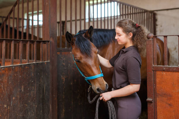 istock Girl with a horse in a stable 800309934