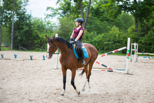 istock Horse rider is training in the arena 800310052