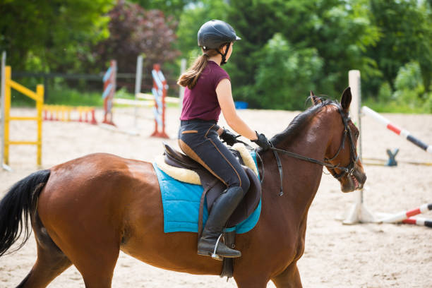 istock Horse rider is training in the arena 800310058