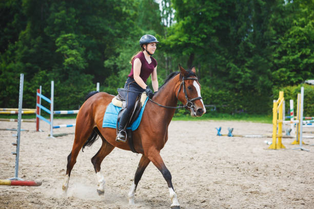 istock Horse rider is training in the arena 800310092