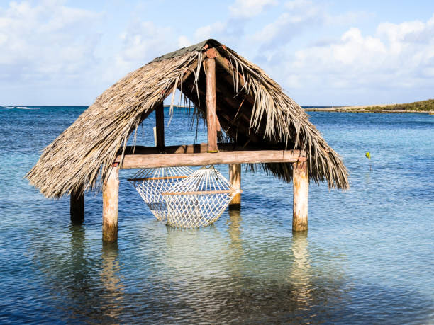 Beach hammock in Cuba stock photo