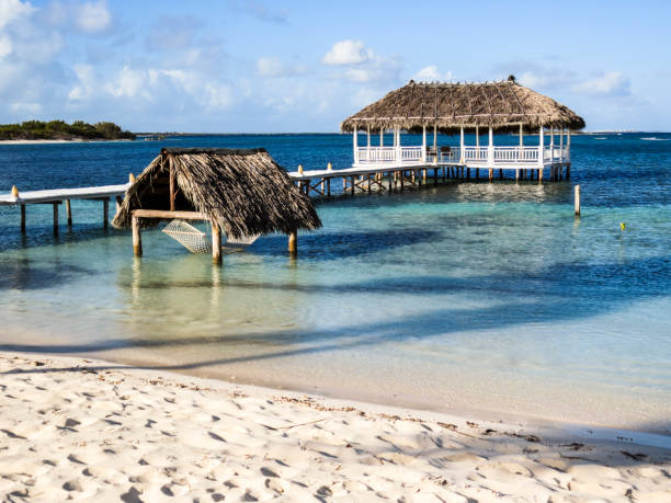 Beach in Cuba stock photo