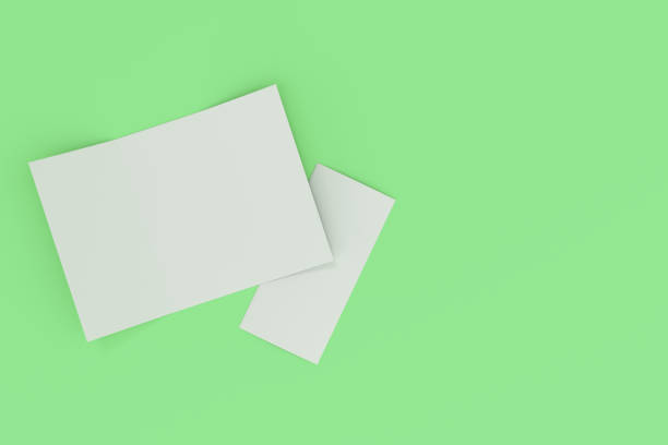 istock Blank white open three fold brochure mockup on green background 800316182