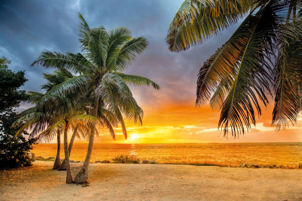 sunset on the beach while a thunderstorm is coming - key west imagens e fotografias de stock