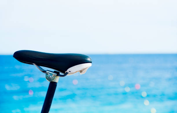istock bicycle in front of the sea 800324136