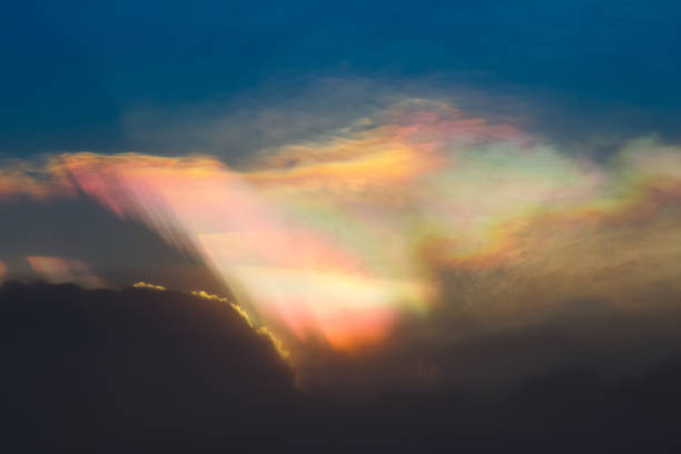 istock Beautiful light from the nature at sunset every day. 800324610
