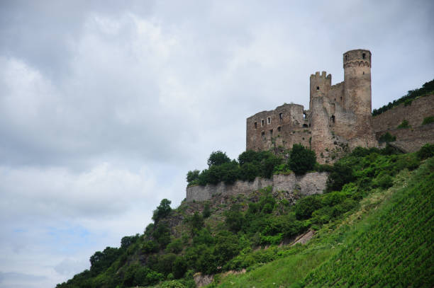 istock Castle in the Rhine Valley 800327010