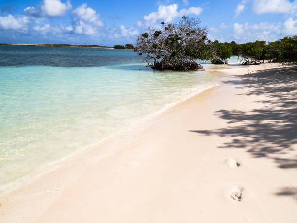 Beach in Cuba stock photo