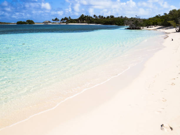 Beach in Cuba stock photo