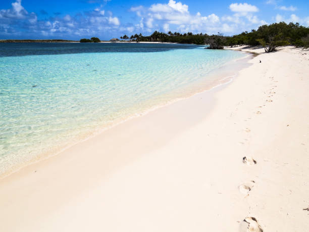 Beach in Cuba stock photo