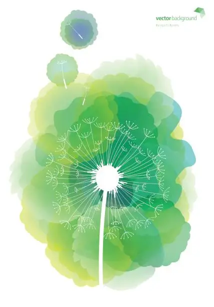 Vector illustration of Dandelion pattern with watercolor textured background