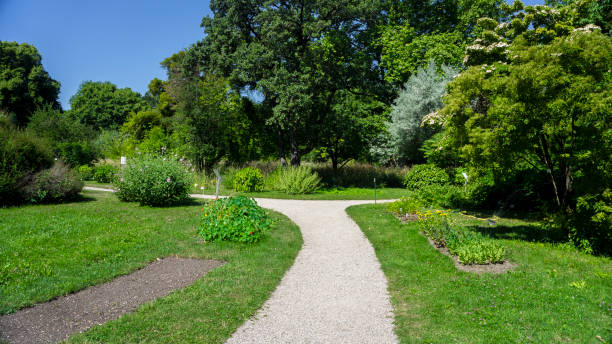 istock Parkland in Vienna 800337398