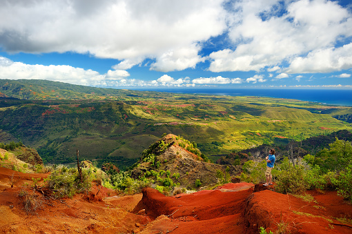 Young male tourist enjoying the view into Waimea Canyon, also known as the Grand Canyon of the Pacific, Kauai, Hawaii