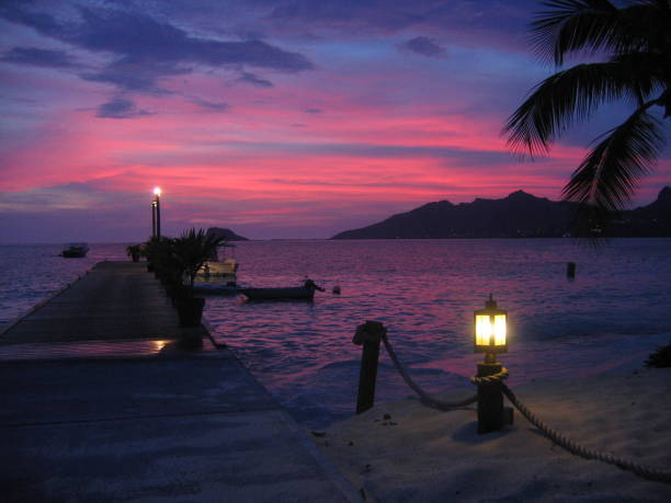 パラダイスの夕暮れ - palm island ストックフォトと画像