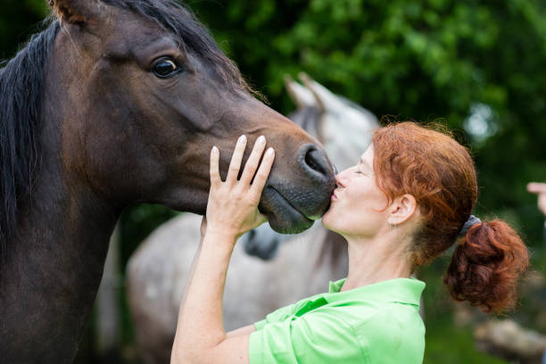 istock Veterinarian kissing a horse 800352454