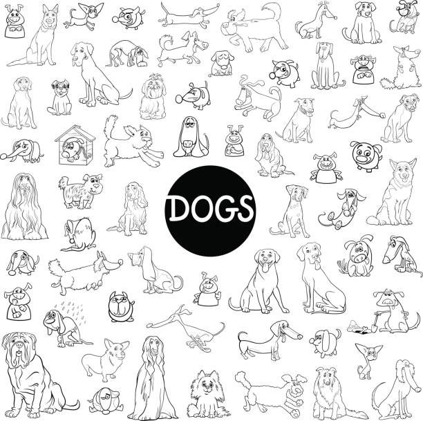 개 문자 큰 컬렉션 - coloring dog pets puppy stock illustrations