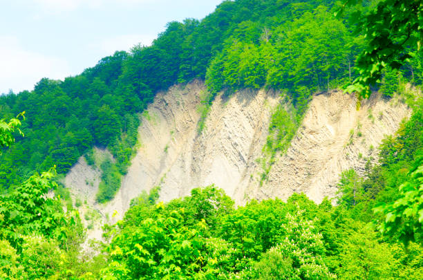 Rock Elephant, Yaremche, Ukraine