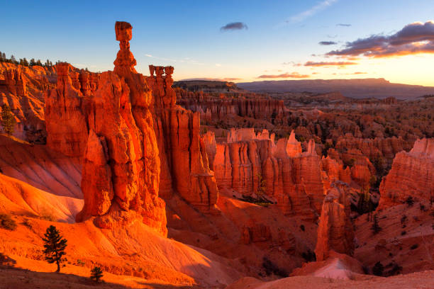 Thor's Hammer in Bryce Canyon National Park in Utah, USA Thor's Hammer in Bryce Canyon National Park in Utah, USA bryce canyon stock pictures, royalty-free photos & images