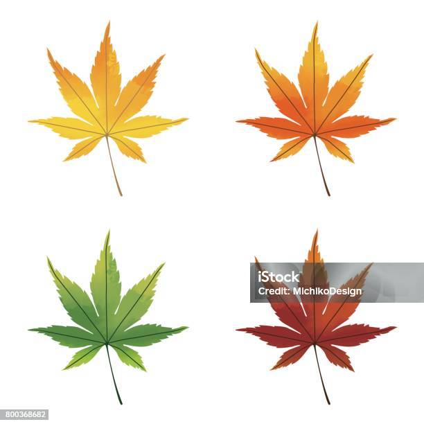 Colorful Maple Leaves Watercolor Effects Stock Illustration - Download Image Now - Autumn Leaf Color, Japan, Watercolor Painting