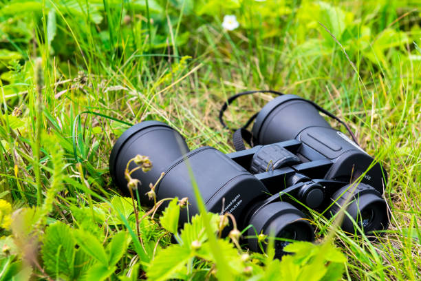 istock close-up of binoculars on green grass 800376050