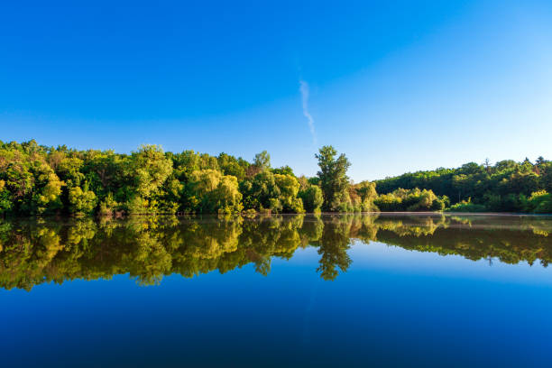 istock Picturesque forest and the river 800379266