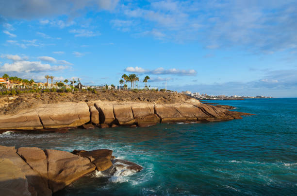 istock Beach Las Americas in Tenerife island - Canary 800386834