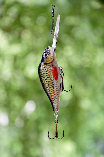 istock Bait number 1(vertical orientation)  for catching predatory fish in lakes and rivers. 800391360