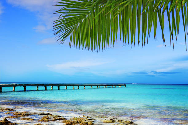 istock Caribbean sea and palm leaves 800402462