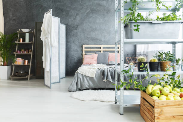 istock Natural decor of loft 800402846