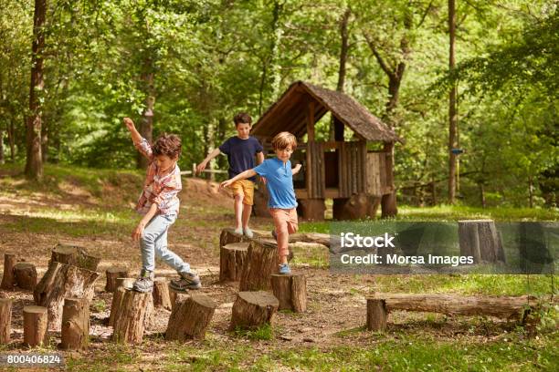 Friends Playing On Tree Stumps In Forest Stock Photo - Download Image Now - Child, Playing, Playful